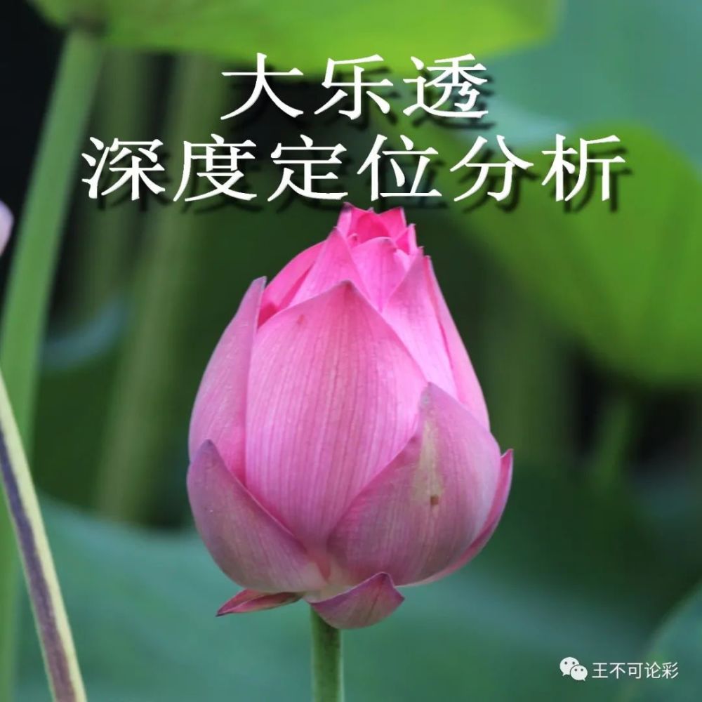 竞猜热点盘口突变,业内人士深度分析 竞猜热点盘口突变,业内人士深度分析