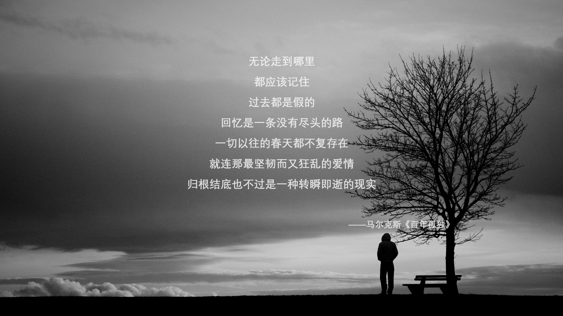 意甲焦点战之夜，丹佛之矛，足球场上的约基奇式杀伤