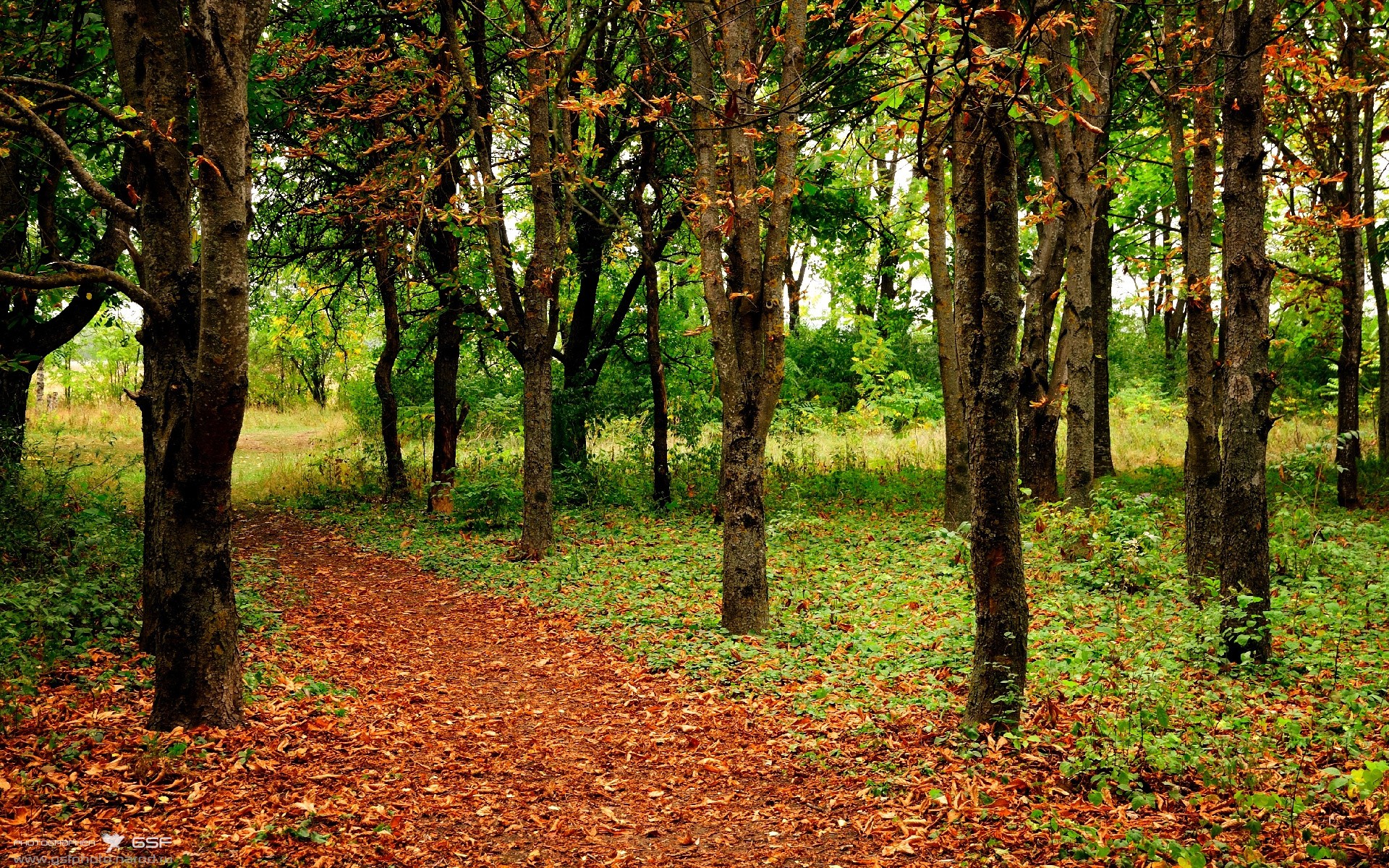冰封之后的一刀，文班亚马极限补篮，刺破快船铁幕防守
