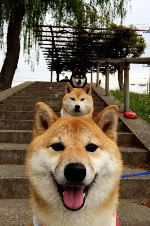 雷恩闪电战撕裂秘鲁防线,阿圭罗手术刀传球定乾坤