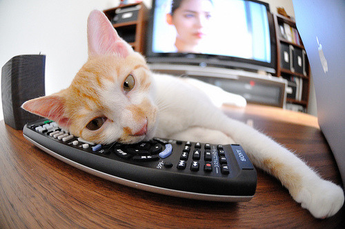 塔图姆稳定输出难挽颓势，火箭攻防一体完胜凯尔特人