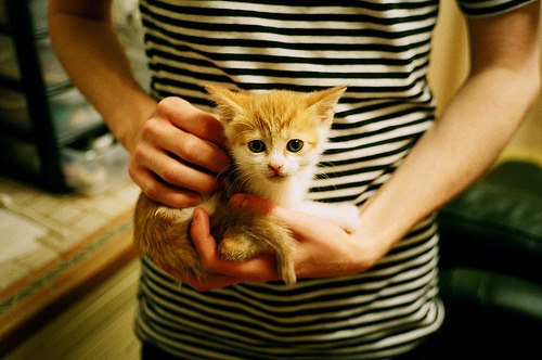 孤舟于引擎轰鸣中，当拉亚扛起全队，惟人心为帆