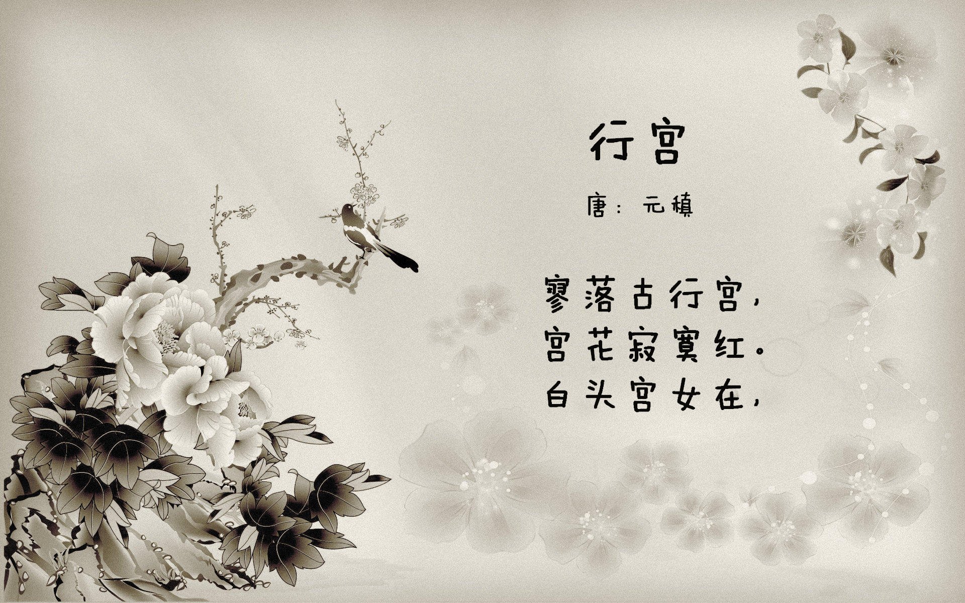 一场跨越时空的对决，奥斯梅恩在哥斯达黎加与爱尔兰的友谊赛中展现完美统治力