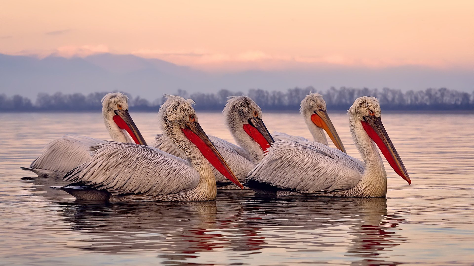 孤胆英雄，布伦森一剑封喉，爵士抢七鏖战力克雷霆