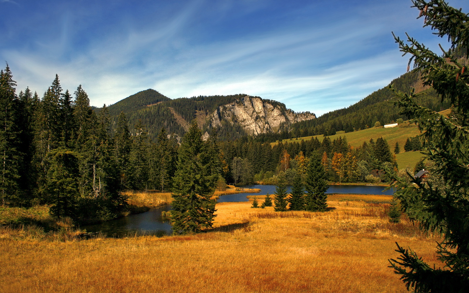 当约基奇成为标尺，活塞对勇士之战揭示的无情真相