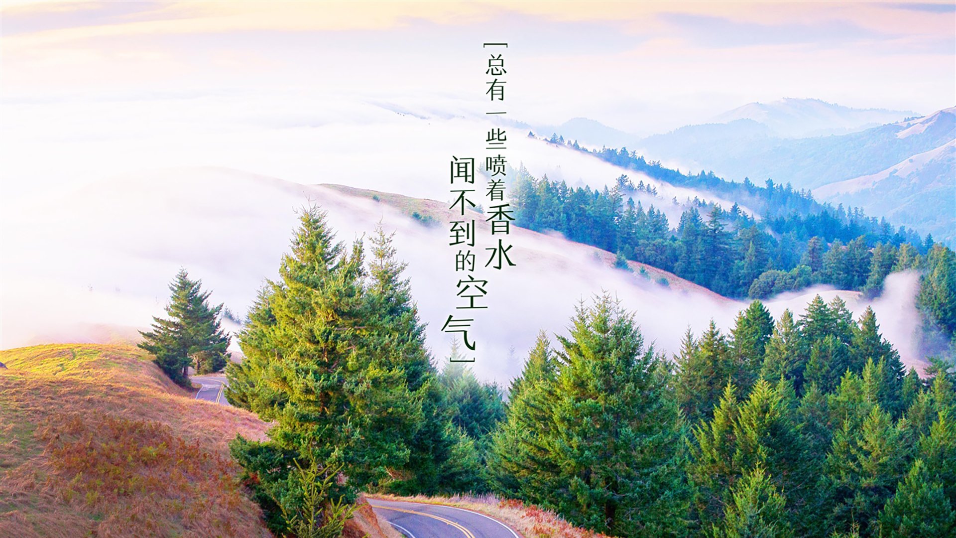北境风暴与南美智谋的交响,从冰岛闪电战到苏亚雷斯手术刀,2026世界杯G组唯一性的战术博弈论