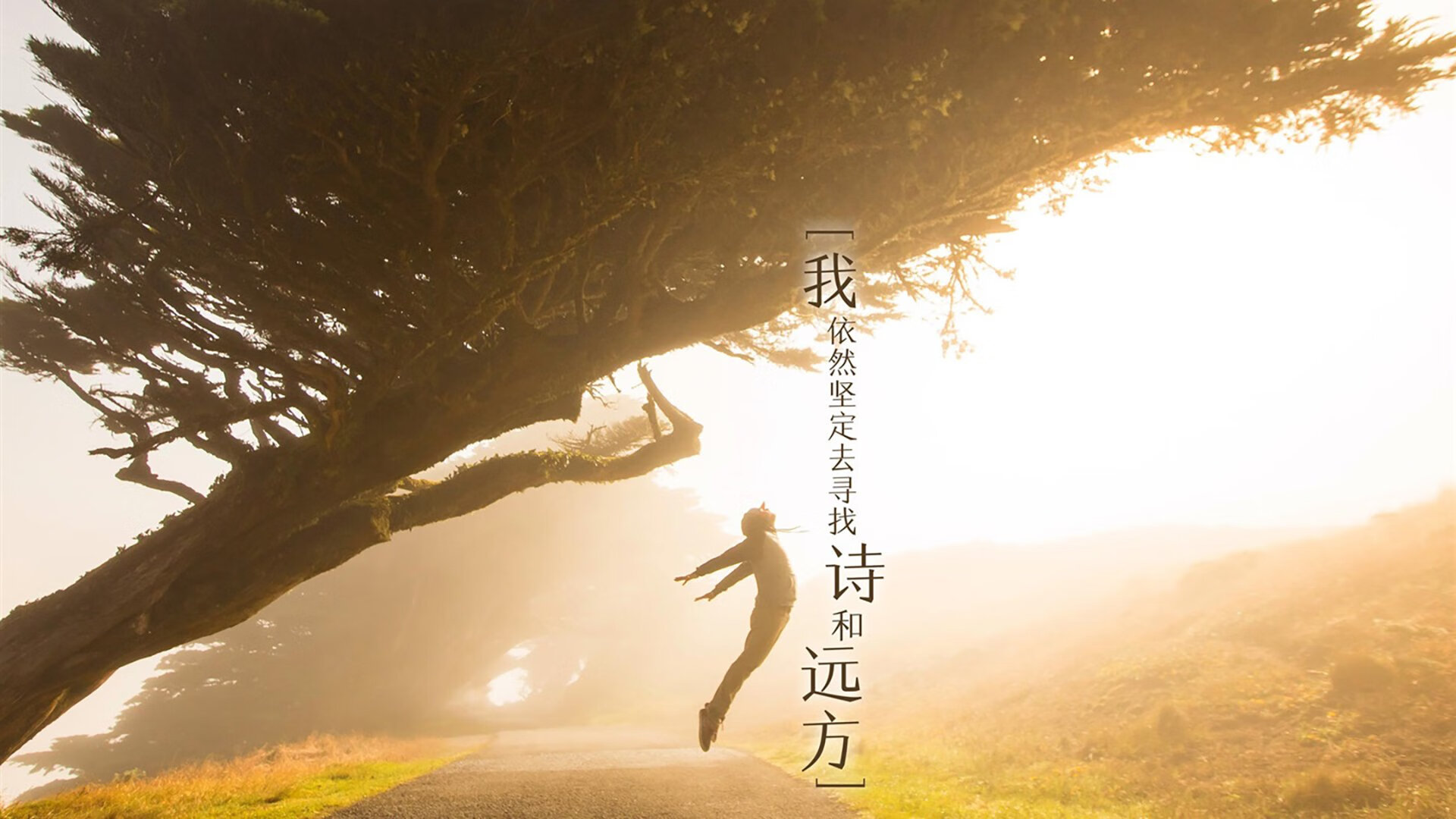 黑金风暴,当姆巴佩披上加纳战袍,2026世界杯的归化神话如何撕裂墨西哥