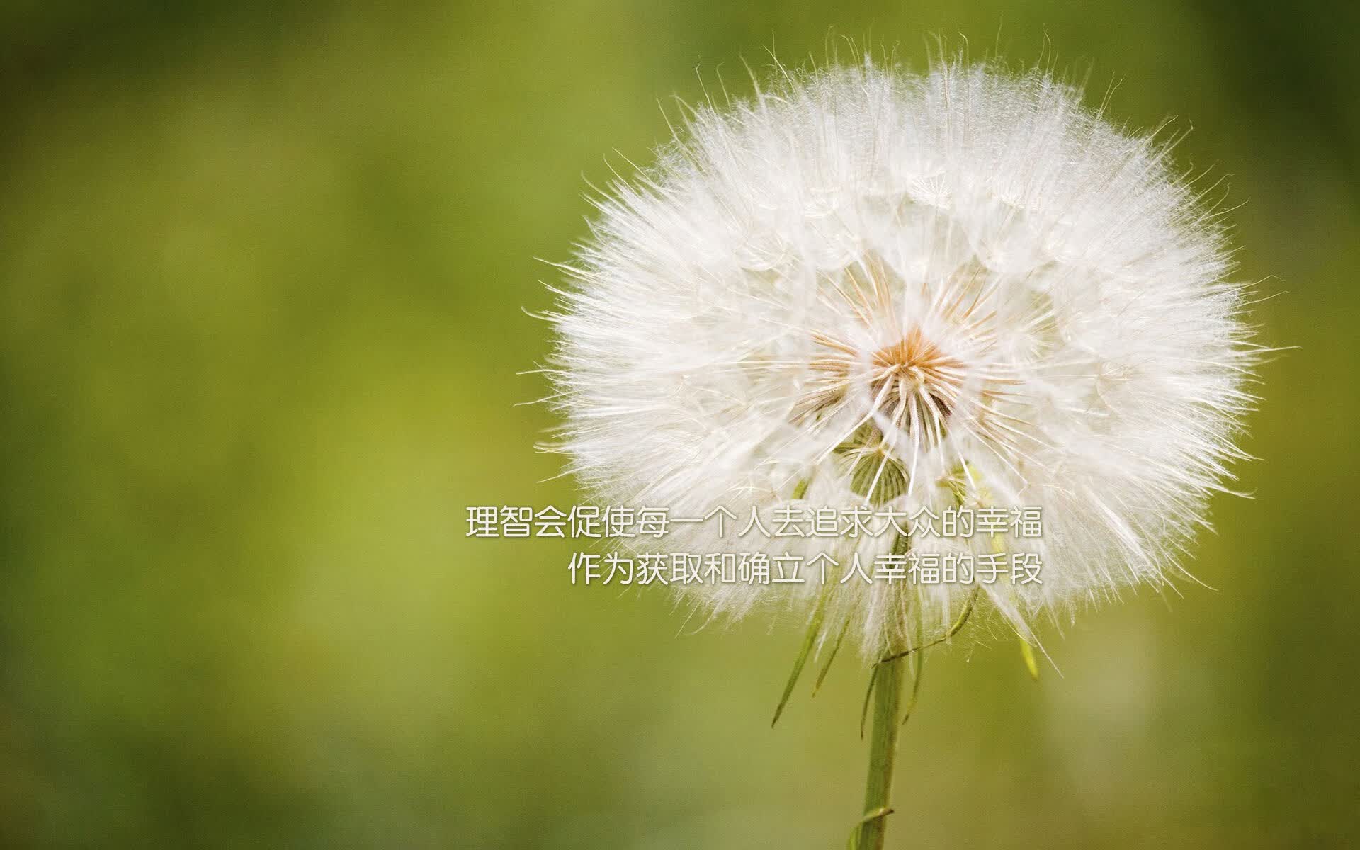 让我们先来定下一个配得上这个故事的标题