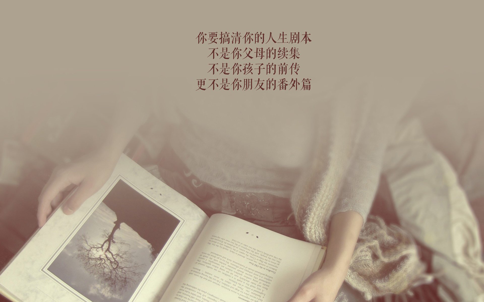 迦太基的钢铁荆棘,努涅斯刺穿高原,突尼斯用一场非典型胜利定义2026世界杯G组