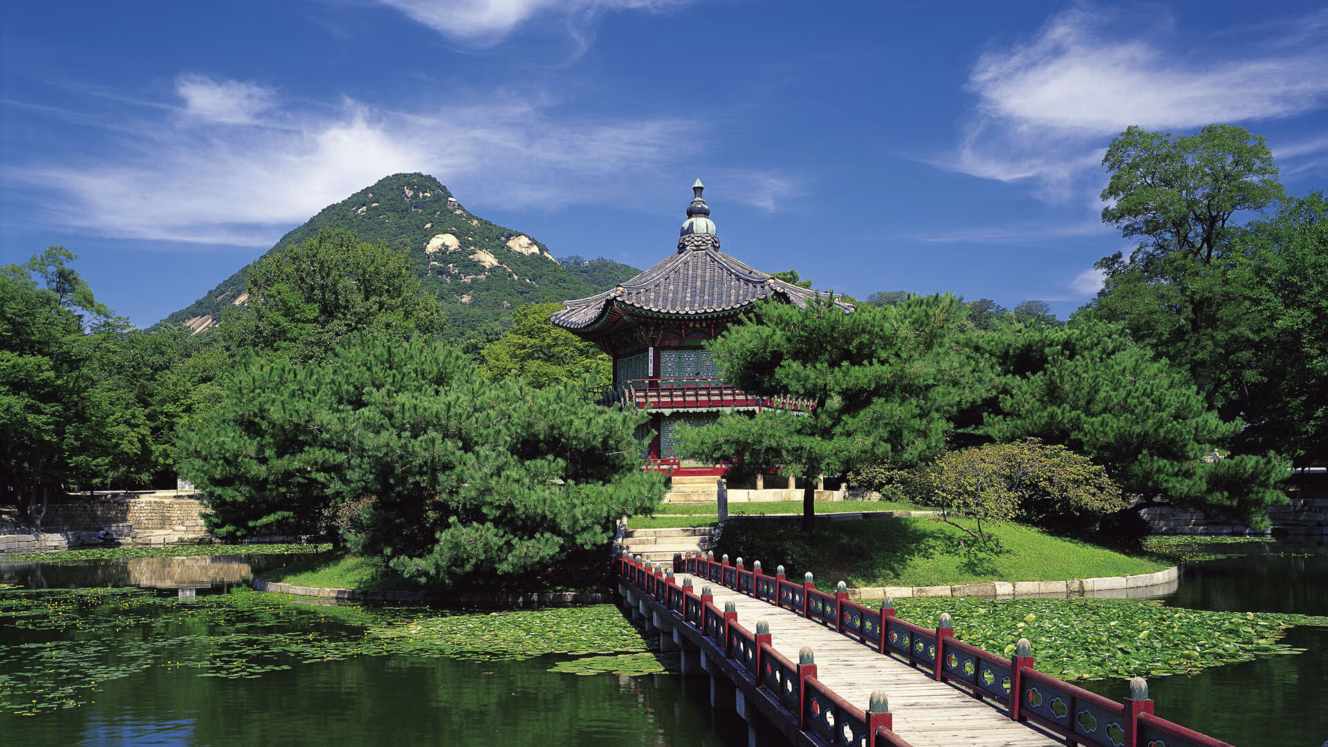 北欧铁骑踏破沙漠幻影，瑞典三球完胜沙特，莱万防反神阵书写2026世界杯黑马死亡笔记