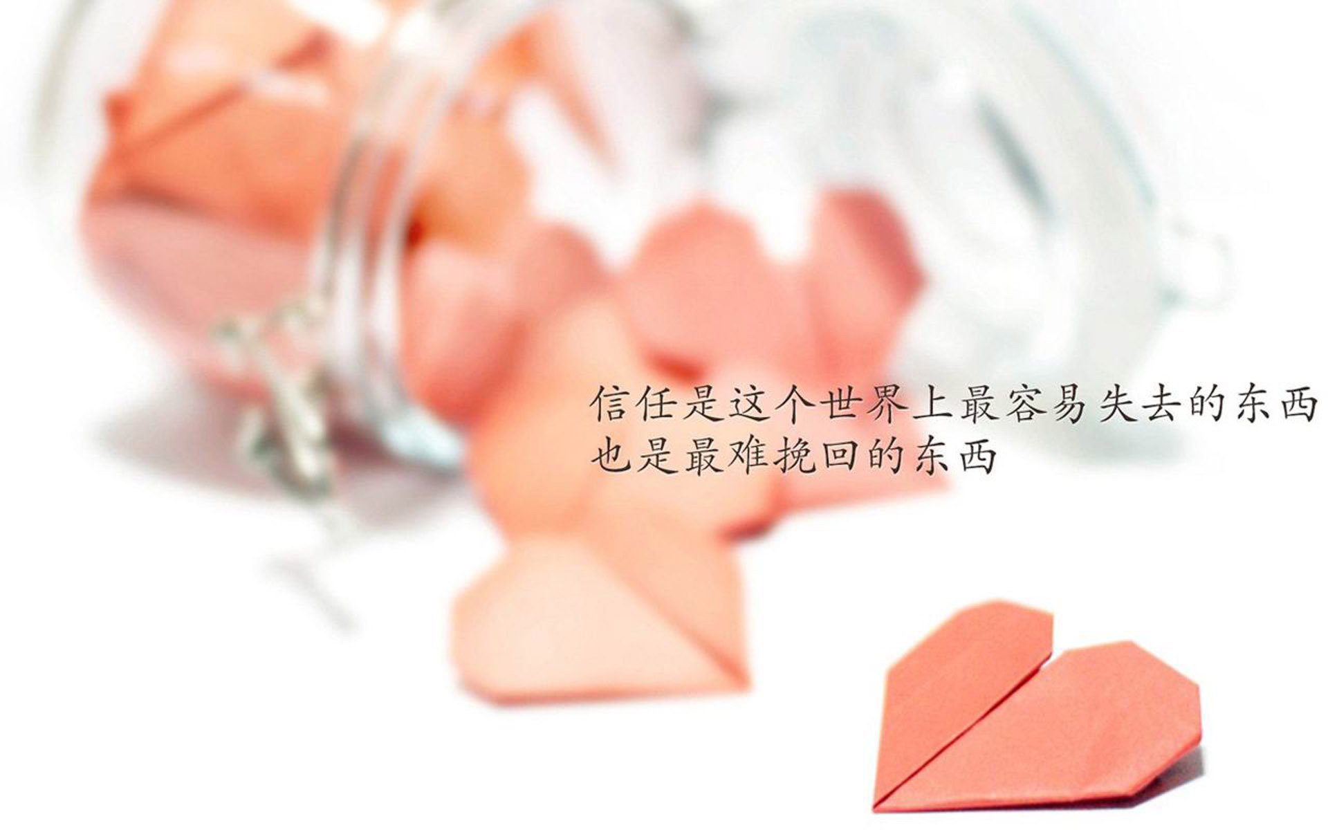 并非焦点，却成经典，2026世界杯F组，迪亚斯定义唯一性的90分钟